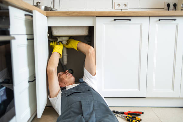 Best Clogged Drain Plumber  in Eclectic, AL