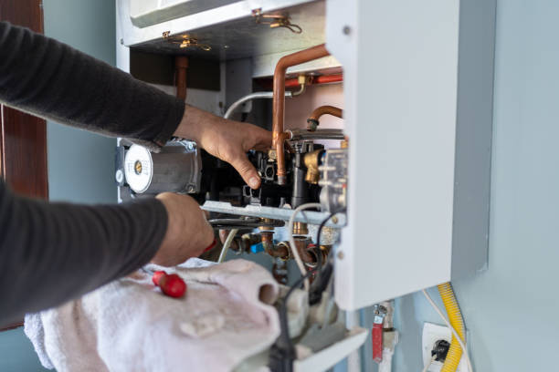 Best Plumbing Inspection Services  in Eclectic, AL