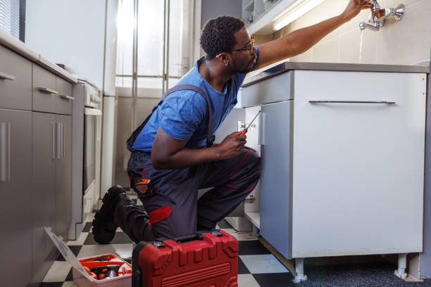 Best Plumbing Inspection Services  in Eclectic, AL
